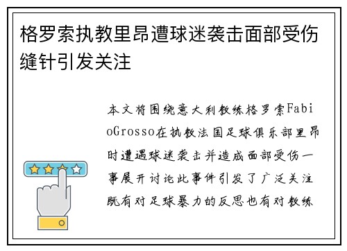 格罗索执教里昂遭球迷袭击面部受伤缝针引发关注 格罗索执教里昂遭球迷袭击面部受伤缝针引发关注